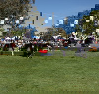 Sakura Matsuri  - Cherry Blossom Festival - in doubt due to Covid-19 - Goulburn Accommodation