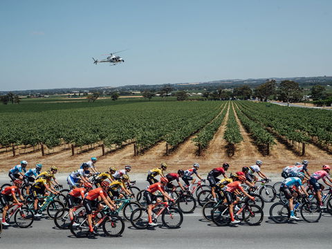 Santos Tour Down Under - Goulburn Accommodation 0