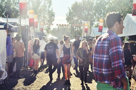 Splendour In The Grass - Goulburn Accommodation 1
