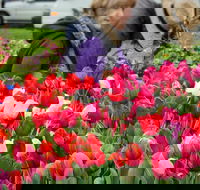 Spring Fling - Goulburn Accommodation