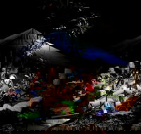 Summer  Family Nature Camp - Goulburn Accommodation