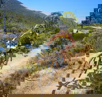 TreX Cross Triathlon Series  Snowy Mountains - Goulburn Accommodation