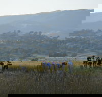 Tumut Cycle Classic - Goulburn Accommodation