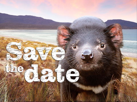 Tunbridge Country Market - Goulburn Accommodation 0