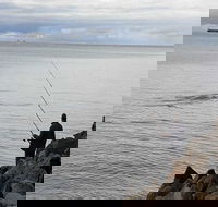 Whale Watching in Portland - Goulburn Accommodation