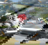 Wings Over Illawarra - Goulburn Accommodation