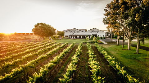 Aged Wine And Vintage Pies - Goulburn Accommodation 2