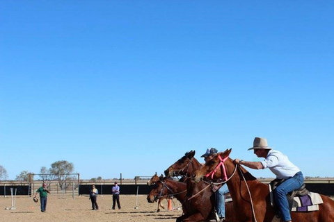 Birdsville Horse And Motorbike Gymkhana - Goulburn Accommodation 0