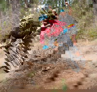 Fox Superflow sealed by Stan's Race  Greenvalleys - Goulburn Accommodation