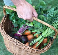 Orange Farmers Market - Goulburn Accommodation
