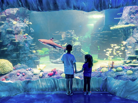 Sydney's Aquarium - Goulburn Accommodation 1