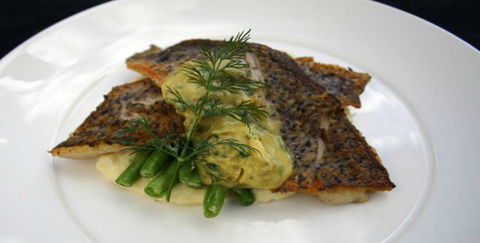 Aquarius Seafood Restaurant - Goulburn Accommodation 2