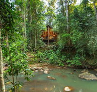 The Canopy Rainforest Treehouses and Wildlife Sanctuary - Goulburn Accommodation