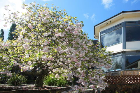 Nesuto Leura Gardens - Goulburn Accommodation 1