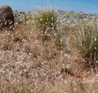 Schouten House - Goulburn Accommodation