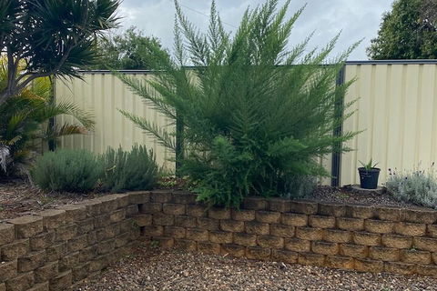 Sunray Motor Inn - Goulburn Accommodation 4