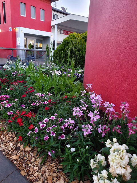 City Golf Club Motel - Goulburn Accommodation 2
