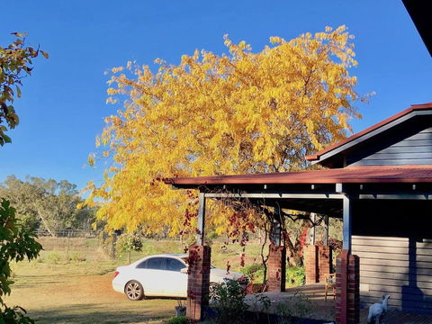 Acheron Valley Country Estate - Goulburn Accommodation 3