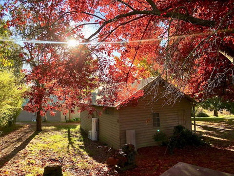 Acheron Valley Country Estate - Goulburn Accommodation 5