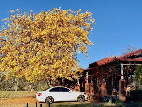 Acheron Valley Country Estate - Goulburn Accommodation 6