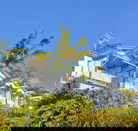 Tangalooma Island Resort - Goulburn Accommodation