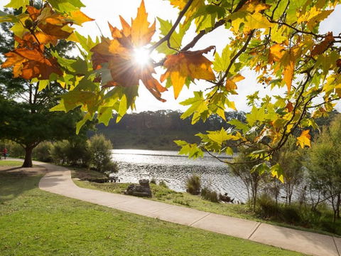 Varenna - Goulburn Accommodation 4