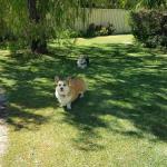 Abbey Beach Shack - Goulburn Accommodation 0