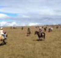 Susan River Homestead - Goulburn Accommodation