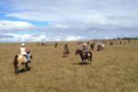 Susan River Homestead - Goulburn Accommodation 0