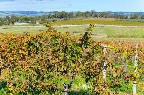 Sun & Surf Aldinga Beach Apartment - Goulburn Accommodation 6