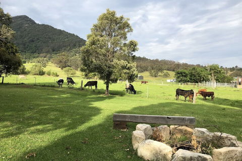 ARCADIA - The Barn Cottage & Rosehill Cottage - Goulburn Accommodation 3