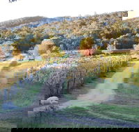 Twisted Gum Cottage - Goulburn Accommodation