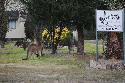 Lynrose Place - Goulburn Accommodation 7