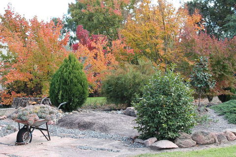 Lynrose Place - Goulburn Accommodation 4