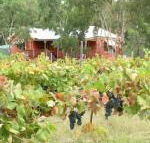 Fergies Hill Spa Cottage at Granite Ridge Wines - Goulburn Accommodation