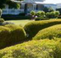 Whiskey Gully Wines - Goulburn Accommodation