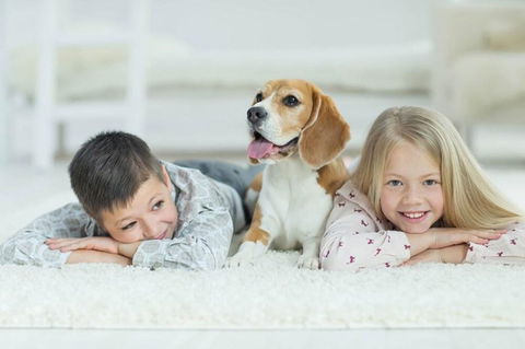BOUTIQUE STAYS - Hampton Lookout - Goulburn Accommodation 2