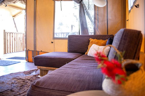 Scamander Sanctuary Holiday Park - Goulburn Accommodation 2