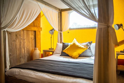 Scamander Sanctuary Holiday Park - Goulburn Accommodation 5