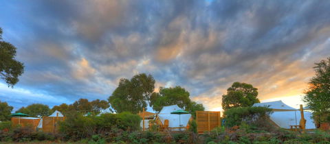 Scamander Sanctuary Holiday Park - Goulburn Accommodation 0