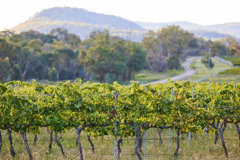 James Farmhouse - Goulburn Accommodation 6
