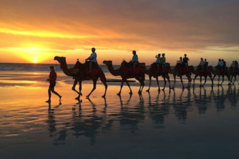 Beach House On Fox - Goulburn Accommodation 0