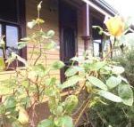 Albion Cottage - Goulburn Accommodation