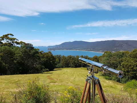 Eaglehawk Rainforest Retreat - Goulburn Accommodation 0