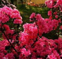 Mountain Escape - Goulburn Accommodation