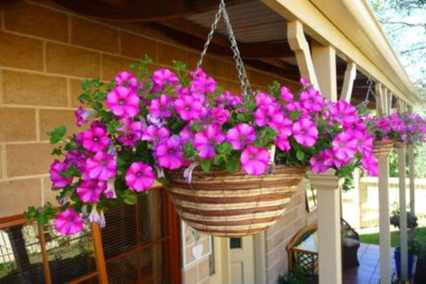 Mountain Escape - Goulburn Accommodation 2