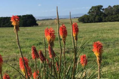 Yanakie Holiday House - Goulburn Accommodation 7