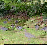 Leura Fairways West - Goulburn Accommodation