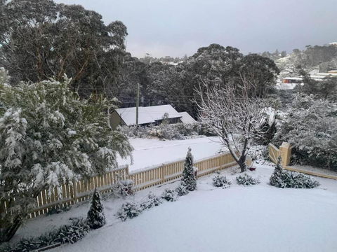 Sunflower Cottage - Goulburn Accommodation 1