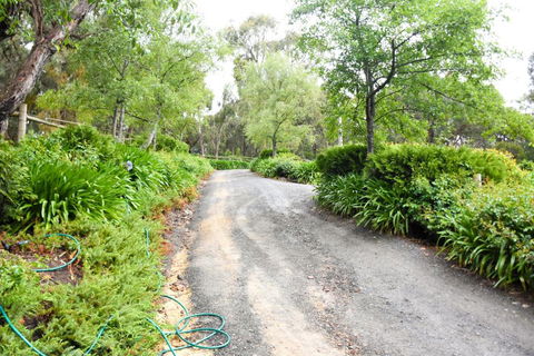 Avoca Park - Goulburn Accommodation 4